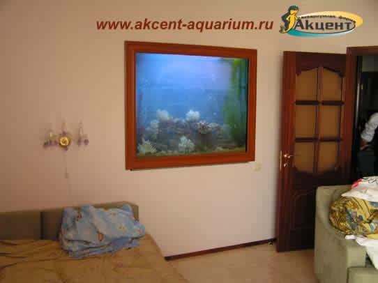 Акцент-аквариум,аквариум 600 литров встроенный в стену